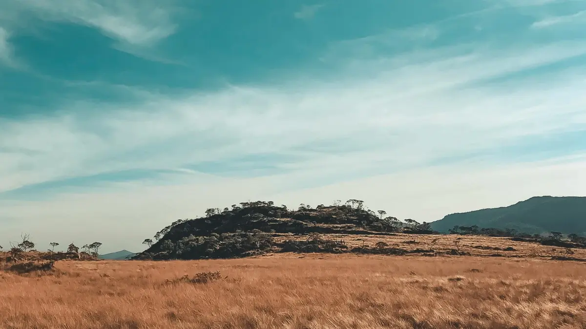 Malta creators: Reach NL brands on OnlyFans