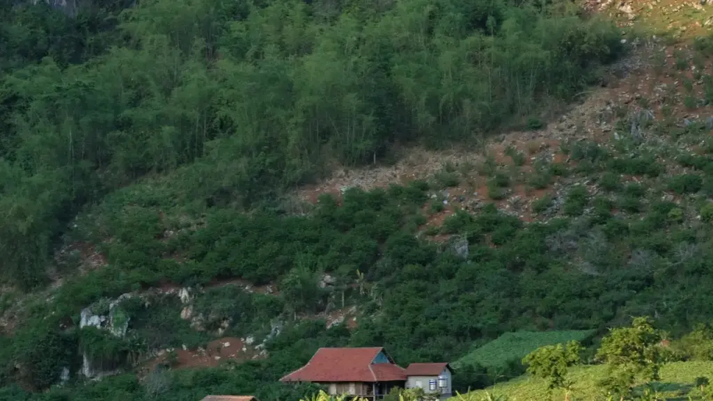 "Gwida prattika għal kreaturi Maltin: kif tikkonnettja ma’ brands Pollakki fuq Bilibili u ssuġġerixxi CTAs li jinbiegħu."