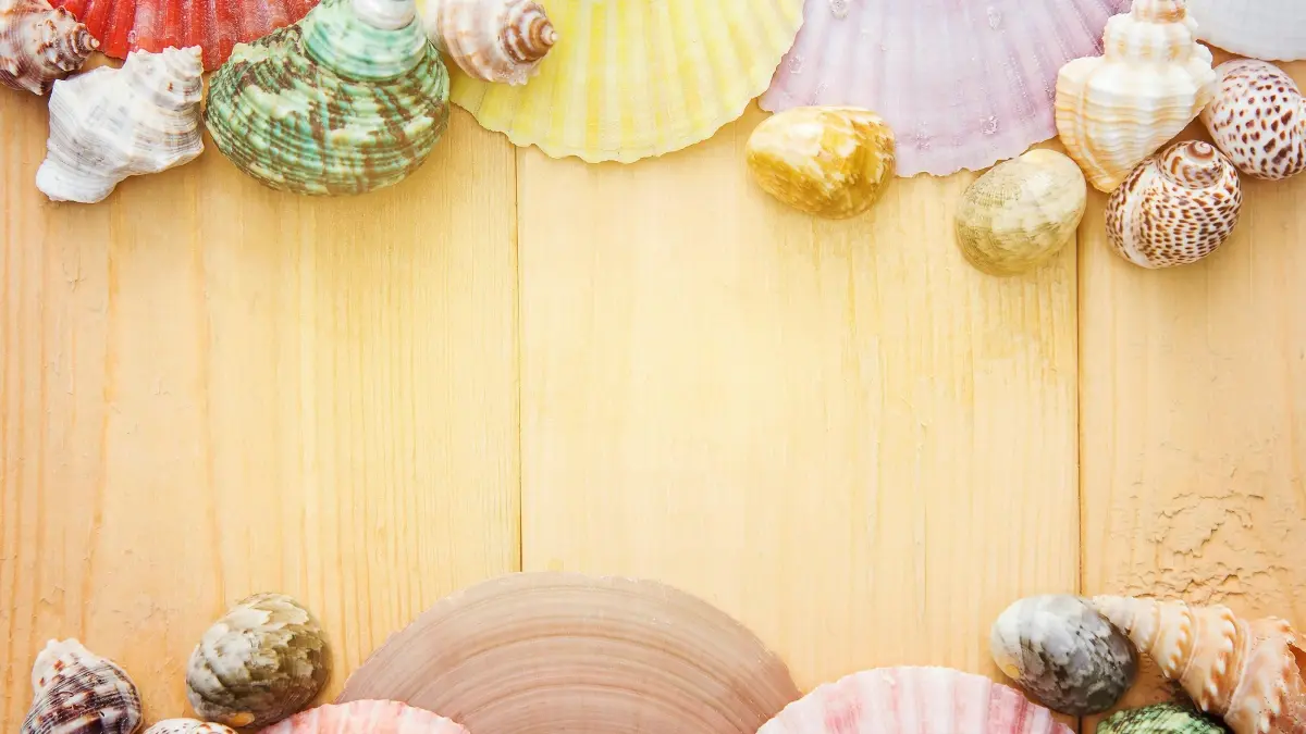 Malta creators: Reach Swedish brands on WeChat — fast