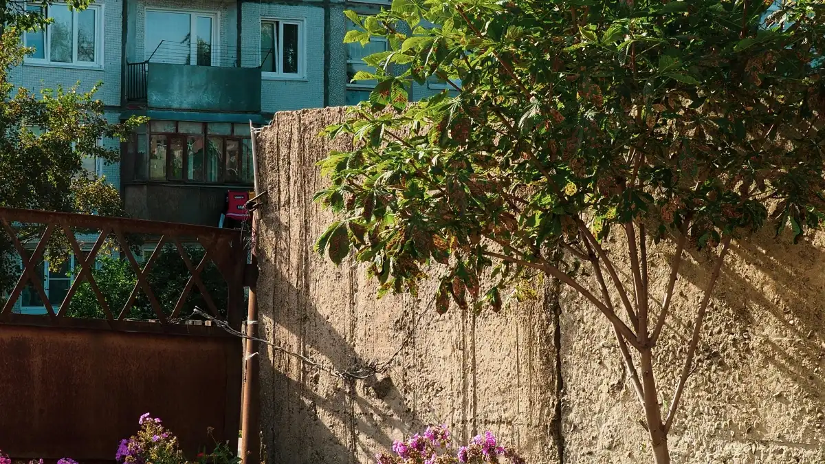 Advertisers Malta: Sib kif issib creators ta’ Iceland Rumble u tagħmel viral