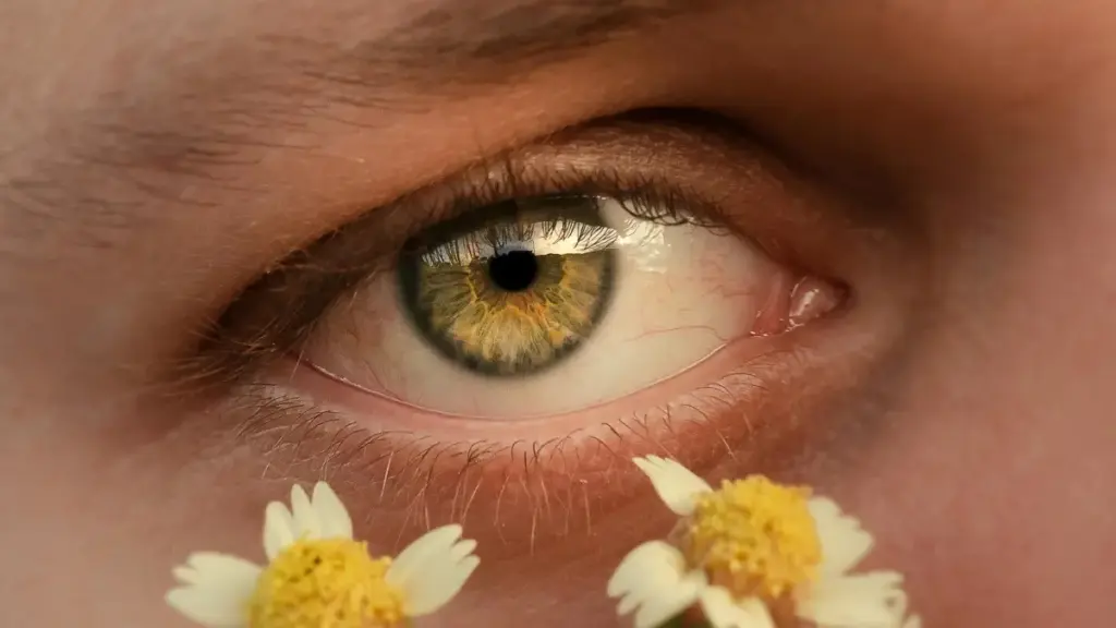 Gwida prattika Maltija biex issib u tinsabħ Apple Music creators f'Baħrein biex ttestja SaaS trials, b'istrateġiji lokali, mappa tal-punti ta’ kuntatt u FAQ prattiċi.