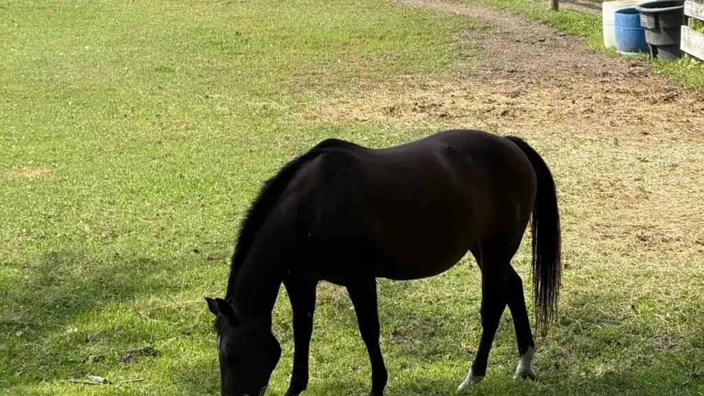 Strateġija prattika għal creators f’Malta biex jikkonnettjaw ma’ brands Estonji fuq Xiaohongshu u jospitaw giveaway ta’ game keys — taktiki outreach, compliance u best practices lokalizzati.