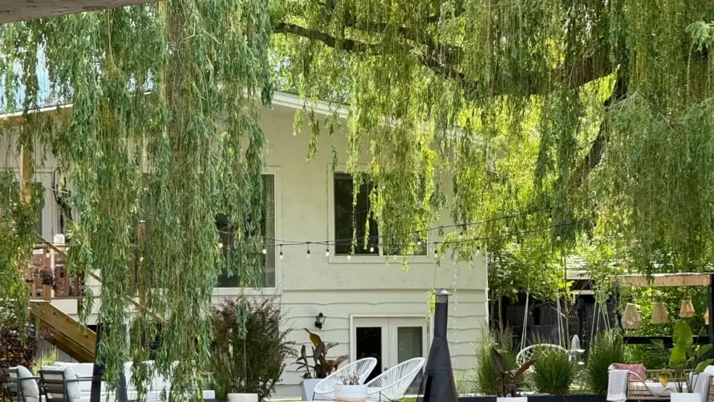 Gwida prattika għal advertisers f’Malta: kif issib u taħdem ma’ creators fl-Awstralja li jiffokaw fuq kontenut Hulu biex tikseb engagement reali u measurable.