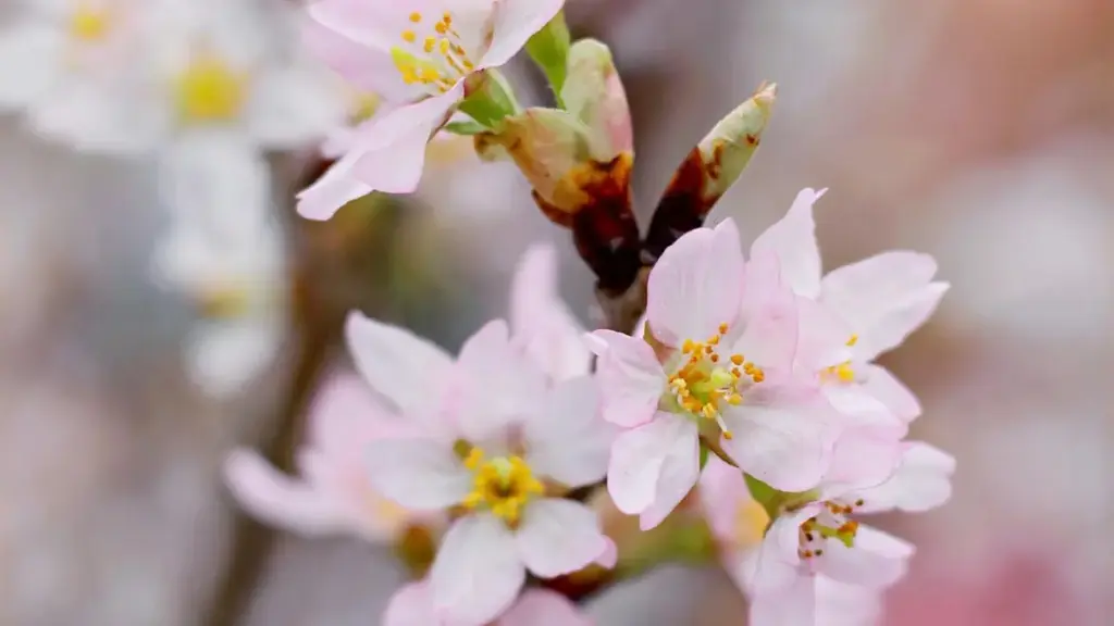 Gwida prattika għal reklami f’Malta: strateġiji, tools u checklist biex issib u tagħżel kreaturi Instagram Franċiżi li jipproduċu city guide awtentiku.
