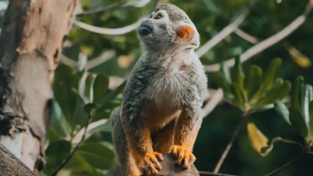 Gwida prattika għal advertisers f’Malta biex isibu u jaħdmu ma’ kreaturi Danimarki fuq Bilibili biex jippromwovu rutinijiet ta’ wellness b’mod effettiv u conforme.