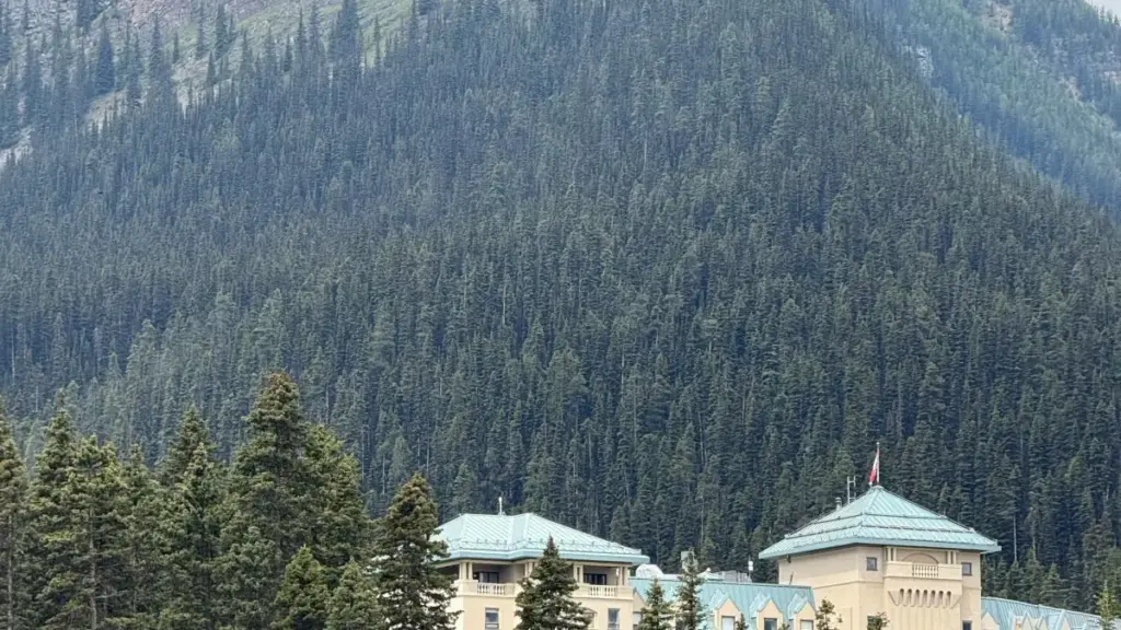 Gwida prattika minn Malta: strateġiji, templates u tattiċi reali biex tgħaqqad ma’ brands Ġappuniżi fuq eBay u tinkludi parir dwar fees, kommunikazzjoni u kulturi tan-negozjar.