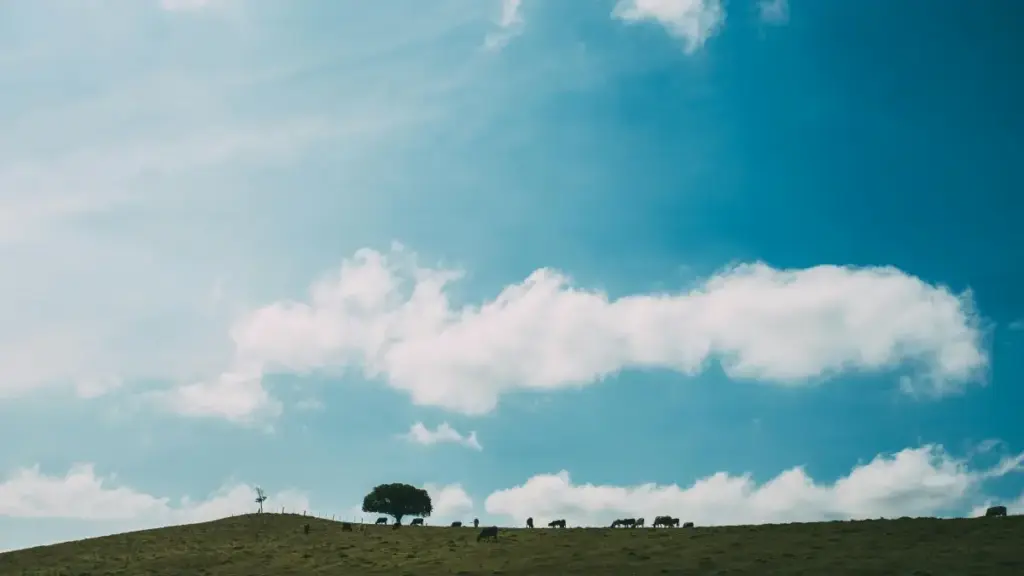 Għodda prattika għalkreatturi f’Malta biex ilaħħqu marki Mongoli fuq Pinterest u jippromwovu trasformazzjonijiet before‑and‑after. Tattiki, email templates u checklist lokali.