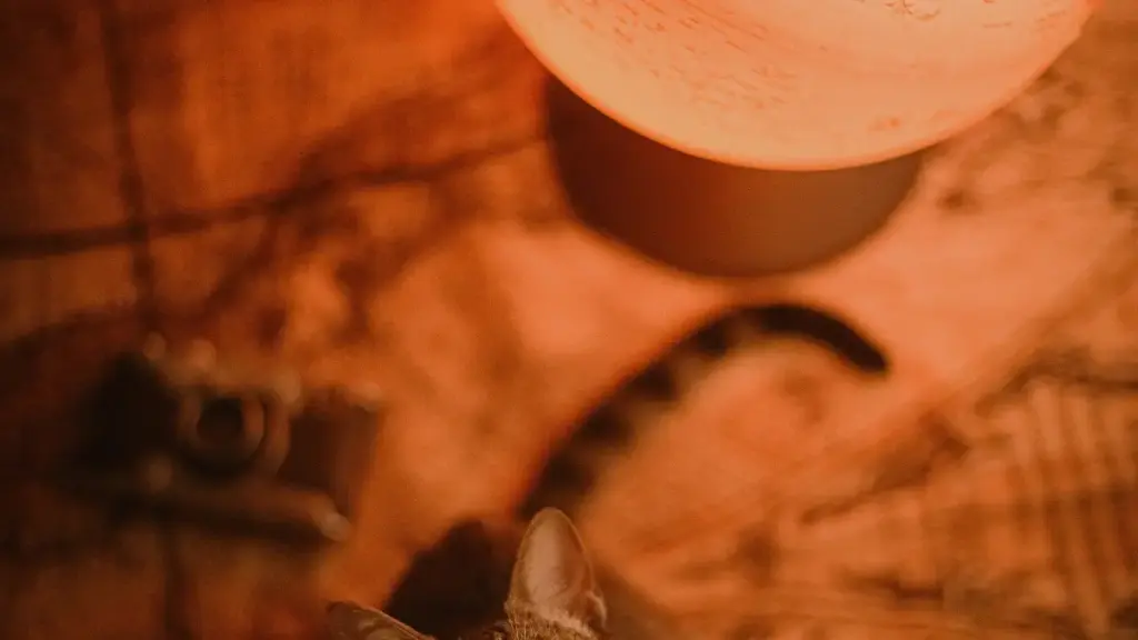 Gwida prattika għal kreaturi f’Malta biex jilħqu brandijiet fl-UAE fuq TikTok, ibiddlu kolabs f’deals fit-tul u jifhmu t-trends kulturali u teknoloġiċi fil-lokal.