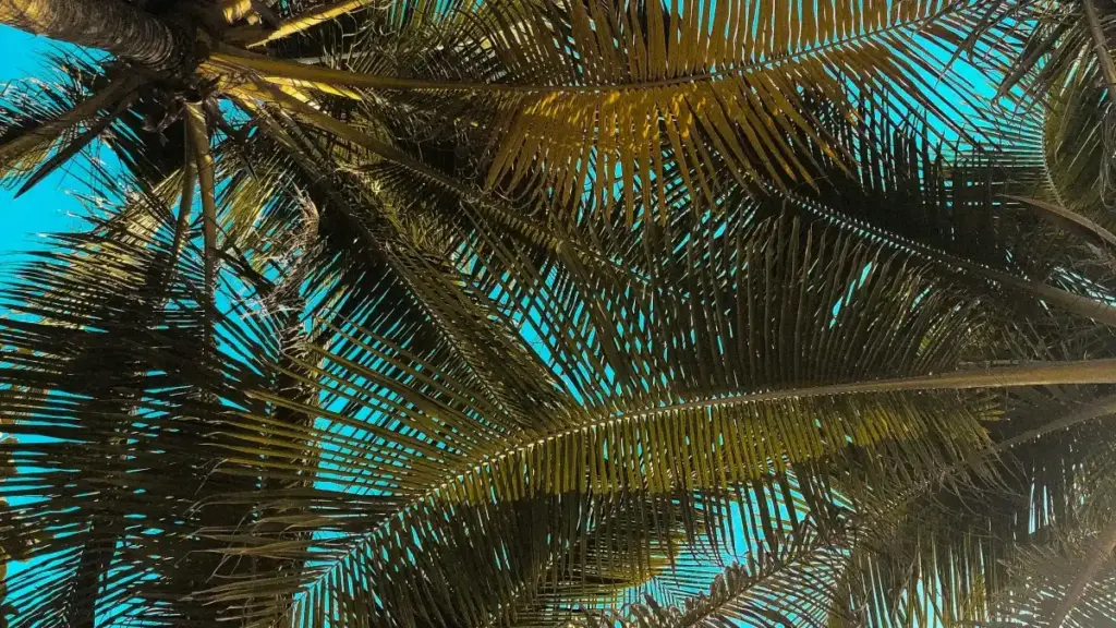 Gwida prattika għal kreaturi f’Malta biex jiskopru, jikkonnettjaw u jħaddmu proġetti ta’ vidjows mfassla fuq vkontakte mal-brandijiet Svediċi — taktikijiet, kampanji UGC u kollaborazzjonijiet ma’ micro-influencers.