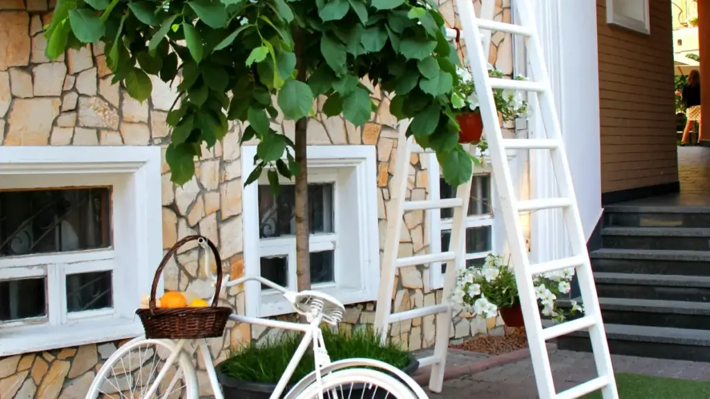 Gwida prattika għal kreaturi f’Malta: strateġiji reali biex tilħaq brandijiet ta’ Afrika t’Isfel fuq HBO Max u tikseb espożizzjoni ġdida fit-2025.