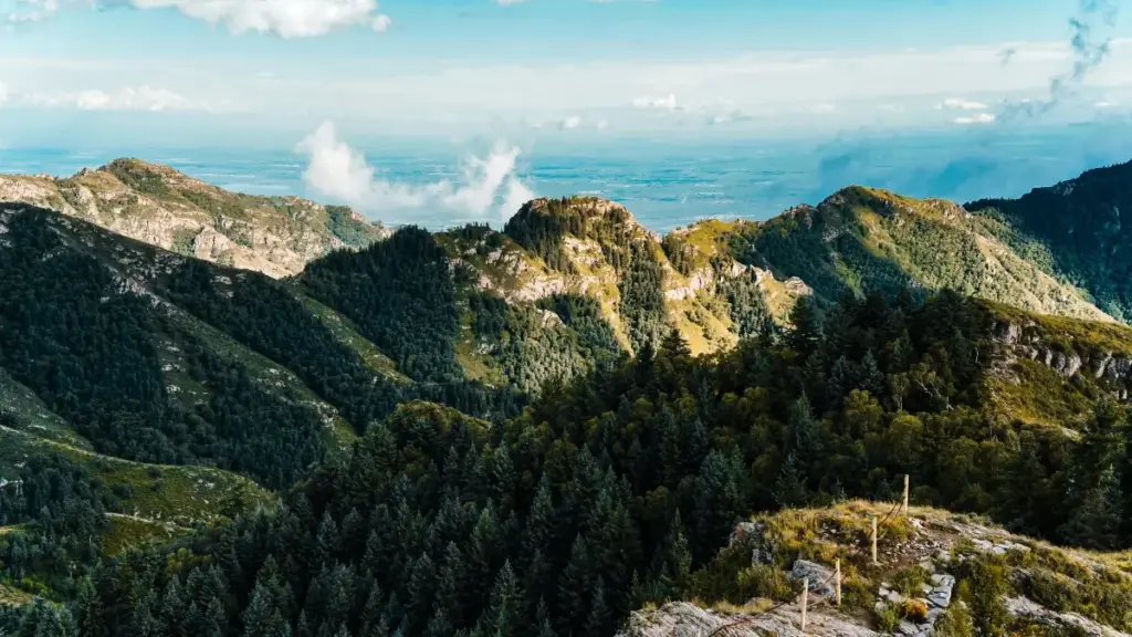 Gwida prakstika għal creators f’Malta: passi, kanali u pitch templates biex tikkuntattja brands Bangladeshi fuq Netflix u tiknegosja deals b’flat-fee.