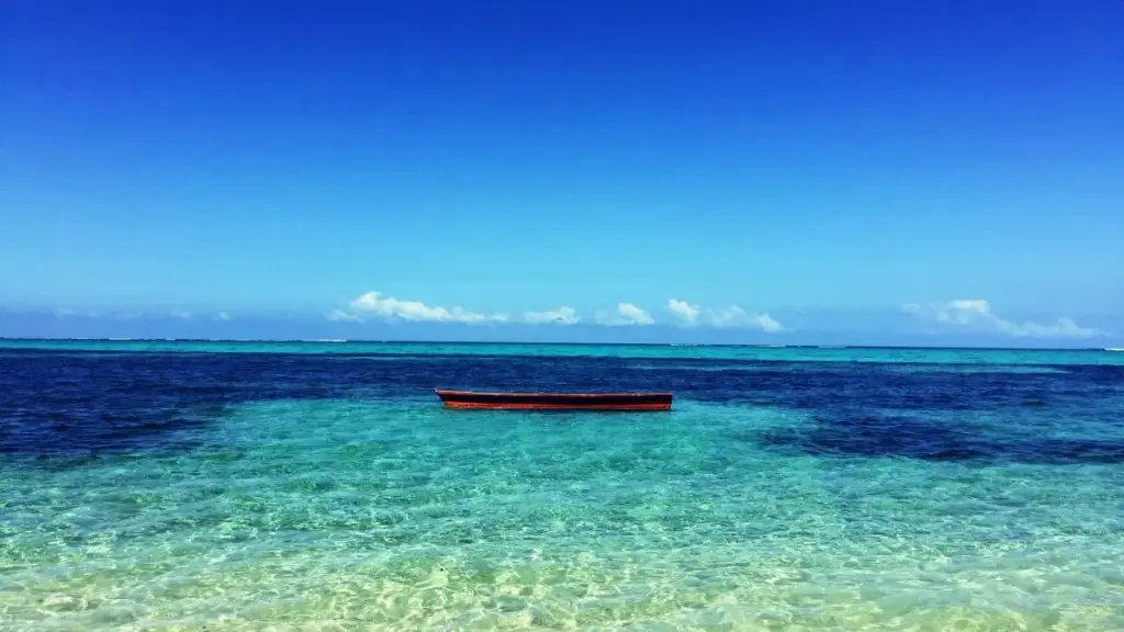 Gwida prattika għall-kreaturi f’Malta: strateġiji reali biex tikkuntattja brands Slovakki fuq KakaoTalk, trikks ta’ messaging, u kif tieħu kampjuni mingħajr tbatija.