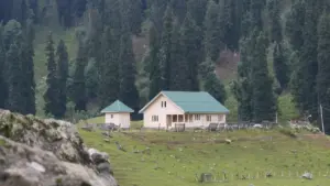 Gwida prattika għal advertisers f’Malta: strateġiji reali biex issib u toħloq kampanji ta’ reazzjoni ma’ kreaturi Etsy f’Sri Lanka għal albums, inkluż checkpoints legali, example outreach u tools.