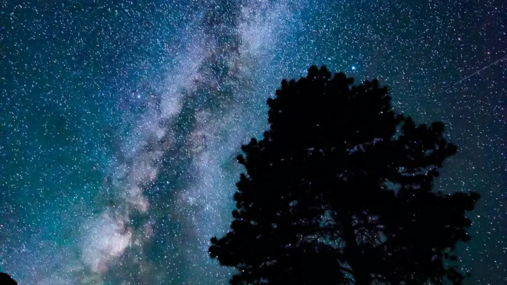 Gwida prattika għal marketers f’Malta: skrini, tattiċi u fejn insibu kreaturi kontenut Disney Plus fiċ‑Ċili biex inżidu bejgħ ta’ kollezzjonijiet ta’ ħwejjeġ.