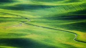 Gwida prattika għal reklamaraturi f’Malta: strateġiji lokali biex issib u tieħu mal-kreaturi eBay fl-Awstrija għal kampanji ta’ promoted online learning.