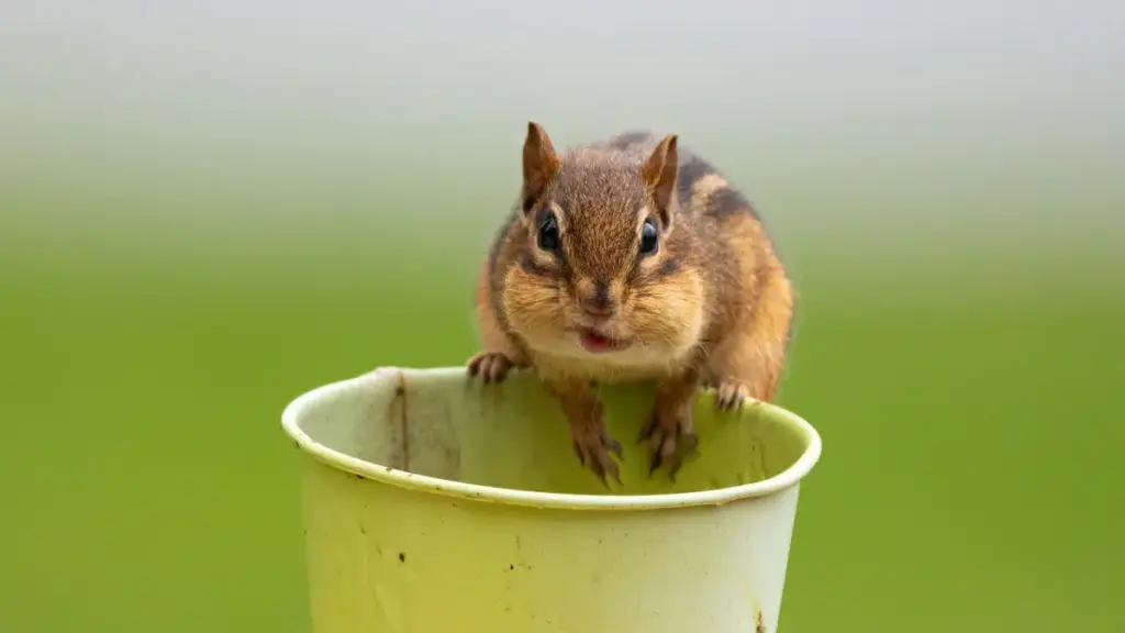 Guida praktika għal marketers f’Malta: tekniki u strumenti biex issib u tieħu kollaborazzjonijiet ma' Instagram creators Irlandiżi għall-visibility ta’ clean beauty.