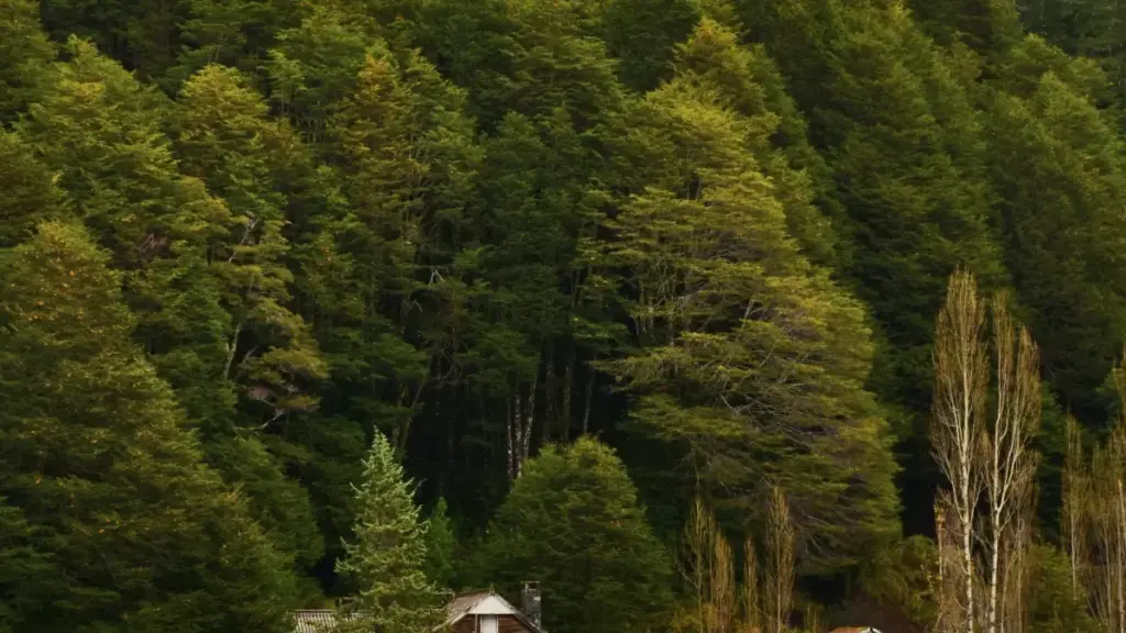 Gwida praktika għall-kreatturi f’Malta: taktiki realistiċi biex tikkonnettja ma’ brendi f’Laos fuq Snapchat u tippromwovi artisti ġodda.