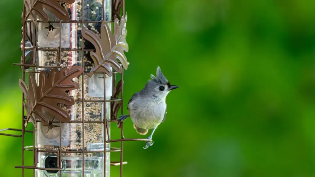 Gwida prattika għal kreaturi f’Malta dwar kif tilħaq u tibni relazzjonijiet ma’ brands minn South Korea fuq Josh biex tikseb sponsorizzazzjonijiet affidabbli.