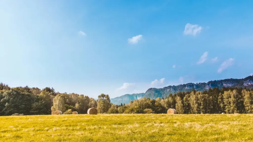 Gwida praktika għal advertisers f’Malta: kif issib kreaturi Spanjoli fuq VKontakte biex tmexxi product‑seeding lejn beauty bloggers, inklużi kanali, taktiki u riskji.
