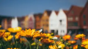 Gwida prattika għall-ħwienet u d-dipartimenti turistiċi f’Malta biex jintegraw Discord creators mill-New Zealand u iżidu viżibilità għall-destinazzjonijiet.