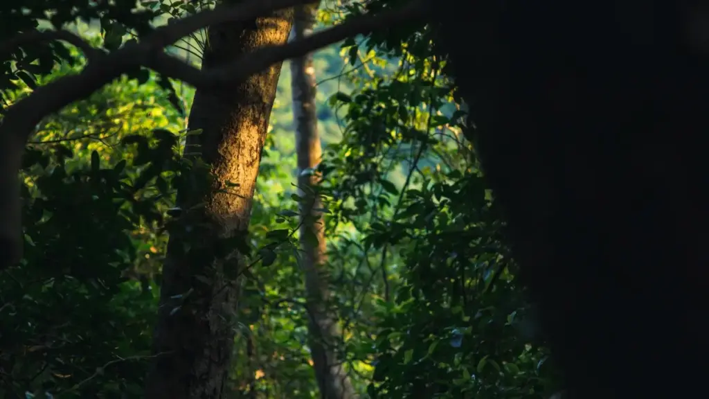 Gwida prattika għal kreaturi f’Malta: kif tikkonnettja ma’ brands Mależji fuq Josh biex toħloq hype għal product launches, inkluż taktiki, eżempji u checklist.