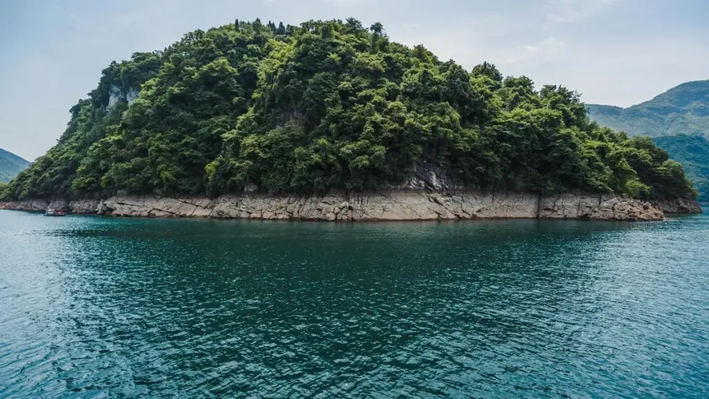 Gwida prattika għal creators f’Malta: kif tikkonnettja ma’ brands Pakistani fuq Reddit biex tagħmel giveaways, tgħallem minnu u twettaq kollaborazzjonijiet reali.