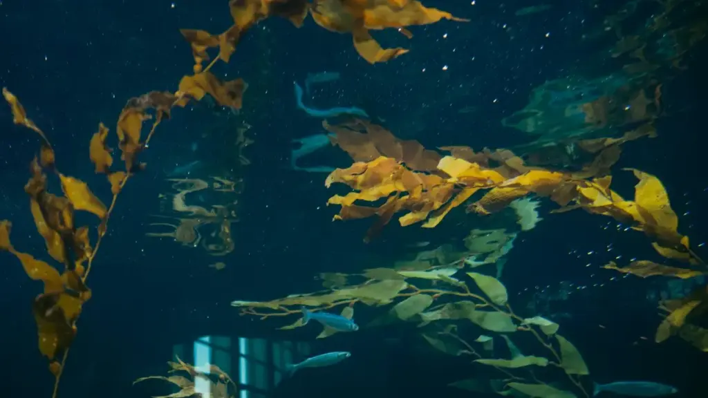 Gwida prattika għall-creators f’Malta: passi konkreti kif tikkuntattja marki Azerbaijani fuq vkontakte biex tikseb kampjuni b’xejn, inkluż għodod, templates u pariri ta’ privacy.