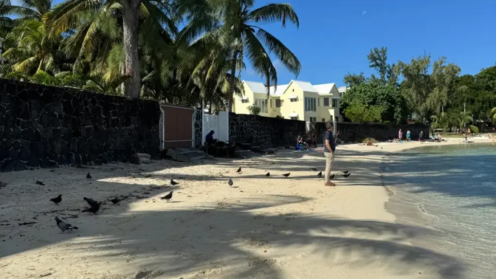 Gwida prattika għal advertisers f’Malta dwar kif jidentifikaw u jimpenjaw kreaturi Shopee fil-Messiku għall-promozzjonijiet stagjonali, inklużi kanali, outreach u riskji.