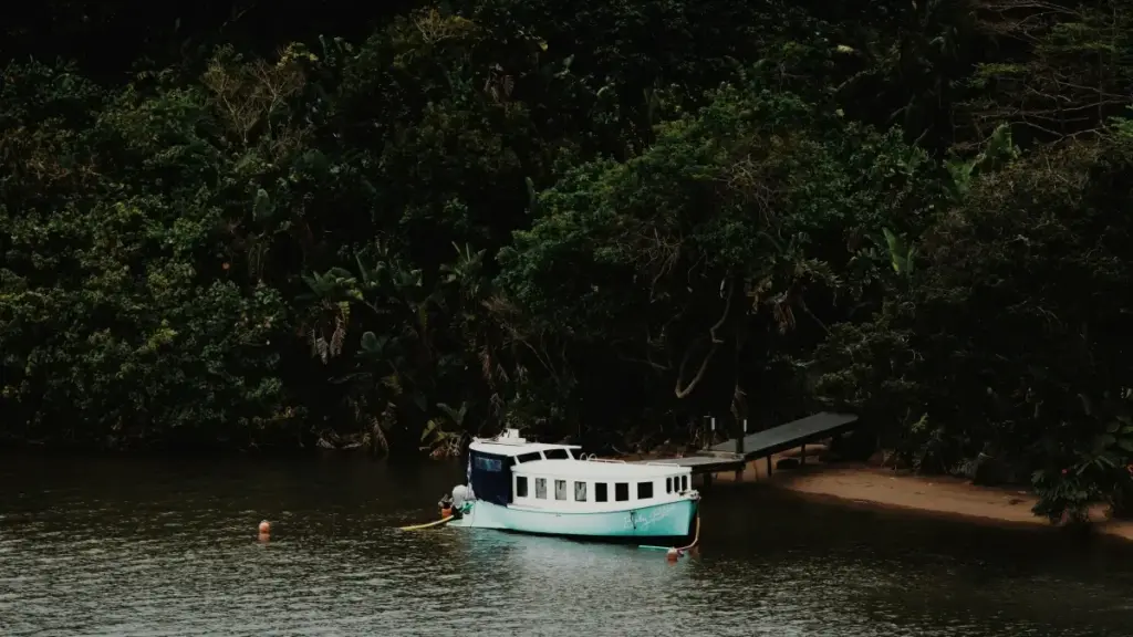 Gwida prattika għal kreatturi f’Malta biex jikkonnettjaw ma’ marki Kolombjani fuq Etsy u jamministraw kampanji li jiġġeneraw sign-ups għal korsijiet online.