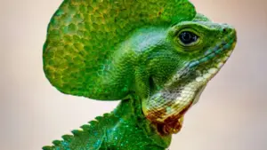 Gwida prattika għal creators f’Malta: kif issib, tikkomunikaw u tikkollabora ma’ brands Ġirlannin fuq Etsy biex toħloq productivity guides effettivi.