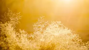 Gwida prattika biex tasal għand marki Ċiprijotti fuq ShareChat, tibni trust malajr u tippjana kodijiet ta’ skont ta’ żmien limitat li jaħdmu.