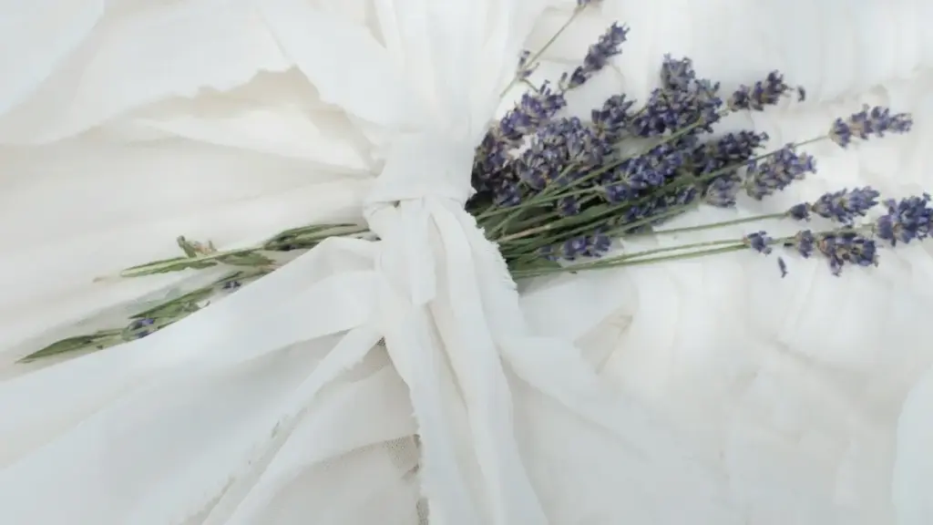 Fejn tfittex kreaturi f’Lithuania għal installi ta’ Disney+ u kif tibni kampanja ma’ streamers li verament tikkonverti.